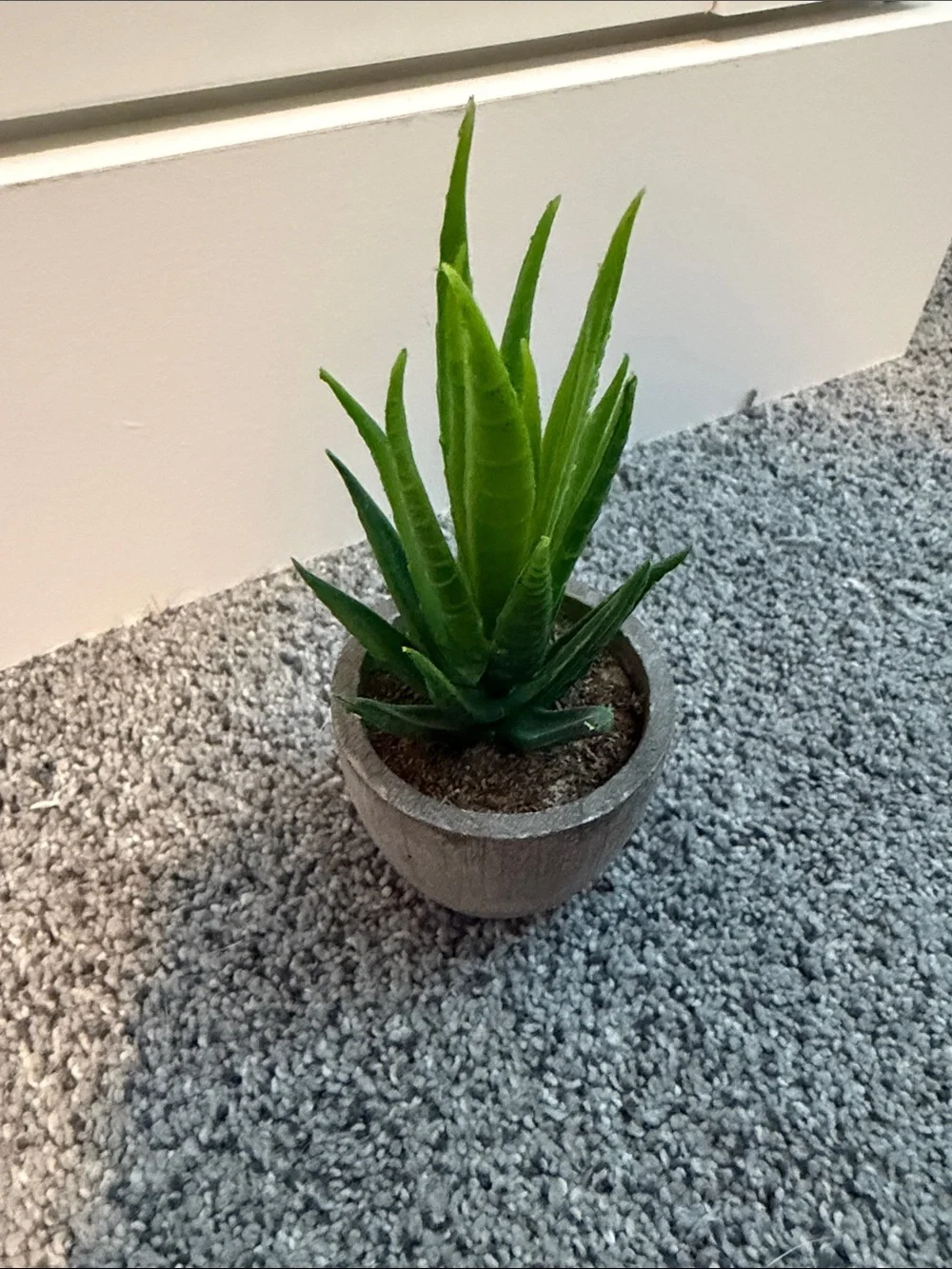 Small Artificial Aloe Succulent in Gray Concrete Pot - Green